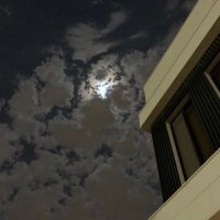 W (@ll0l1iu) 's Twitter Profile Photo