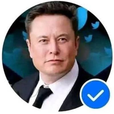 Entrepreneur Elon musk is 👇CEO-spaceX🚀Tesla