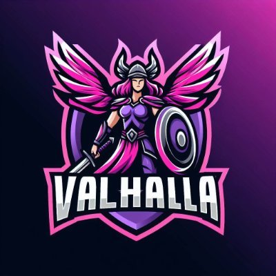 VALHALLAvlr Profile Picture