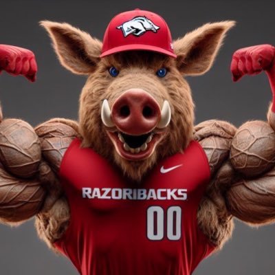 Lifelong Hog Fan because there is no better program to be a fan of in all of sports. Not even close. #WPS #GoHogs #PitCrew #CalArk #OmaHogs #BogleBombers 🐗🐗