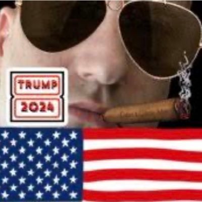 Mark4America80's profile picture. Guess who’s back…back again! Owning libturds since 1980. #Trump2024