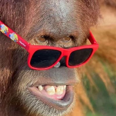 CasparVibez's profile picture. SAVAGE KID✌️☻️☠️ANTI-PEACE💔☠️👇