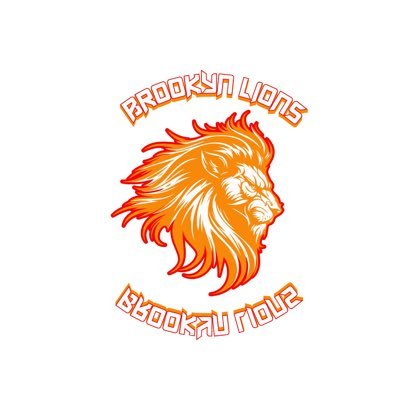 bklionsaau's profile picture. 