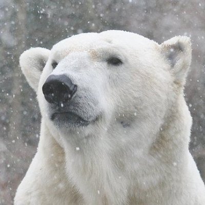 DanforthBear's profile picture. Fourth-Way-Sufi-Integral-Communitarian.

Father of Three Sons.

Studied History & Political Science @ UWO

There are 3 Forces. Positive, Negative & Reconciling.