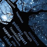 CSoI Diversity (@csoi_diversity) 's Twitter Profile