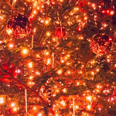 ririri20432's profile picture. 