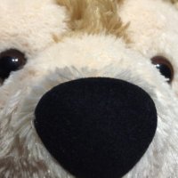 Seilong (@seilrong) 's Twitter Profile