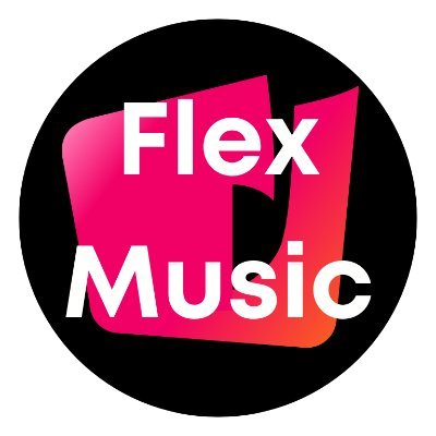 Flex Music Produtora & Music Business