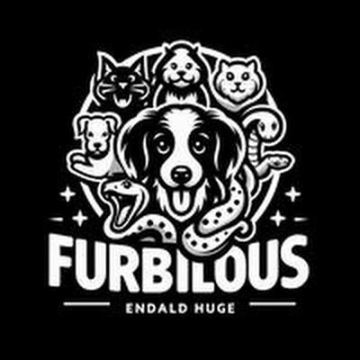 Welcome to Furbulous! Furbulous believes that every pet deserves a little extra love and attention.