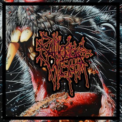 Canadian #slammingbrutaldeathmetal 
**Weird and Pissed Off out now on all platforms**  
https://t.co/BayRmuTW9t
