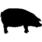 no_veg_please's profile picture. i didn't create this profile, someone else did it for me, so i might as well use i
t now...