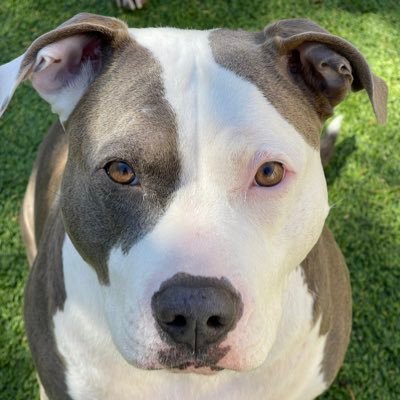 DMS72AZ's profile picture. 