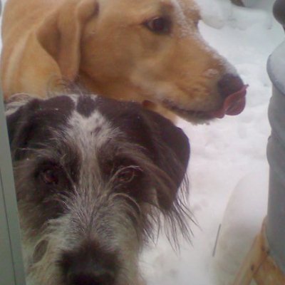 dunemom1's profile picture. Old Hippie, Pro Choice, Tree Huger, Climate Change Believer, Global Animal Rescuer, KXL Pipeline Fighter, Retired Bookkeeper, Blue Dot In A Red State - Nebraska