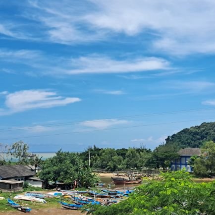 algosi_025's profile picture. 