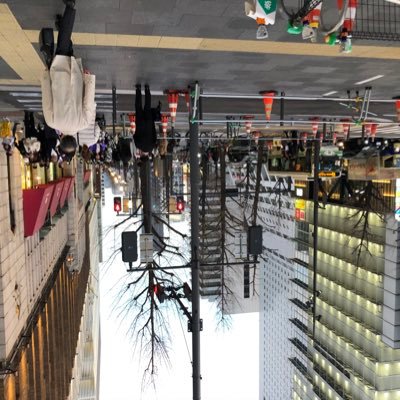 rfirdhn's profile picture. 