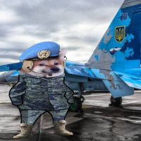 Pilot Fella🇺🇲-NAFO(@SteamyGT) 's Twitter Profile Photo