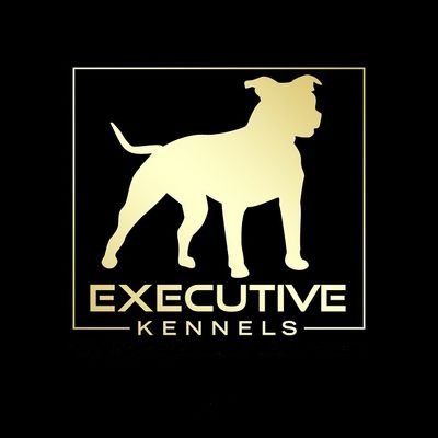 ExecutiveKenn Profile Picture