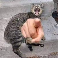 La Otra Extincion (@laotraextincion) 's Twitter Profile