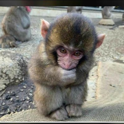 rhar718743's profile picture. 