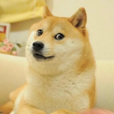 PUMP FUN:  https://t.co/zVBPxZSjYI

The Mona Lisa of the Internet. 

OG Doge of Memes.