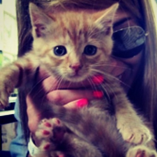 agie_rockZ's profile picture. hi im angela! 16. greek.