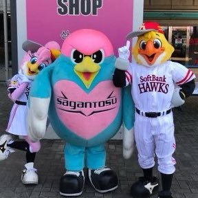 サガン鳥栖応援📣⚽️ホーム戦毎試合スタジアムで観戦⚽️ソフトバンクホークス応援📣⚾️