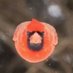 a wrecked isle dysfunction (@snipedname) Twitter profile photo a wrecked isle dysfunction (@snipedname) Twitter profile photo
