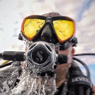 xamuzaran's profile picture. Maybe I'm not even here and all my tweets have been programmed in the past