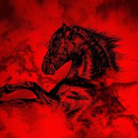 ScuderiaTifosi(TR)🇹🇷🐎🇮🇹 #MiamiGP(@tr_tifosi) 's Twitter Profile Photo