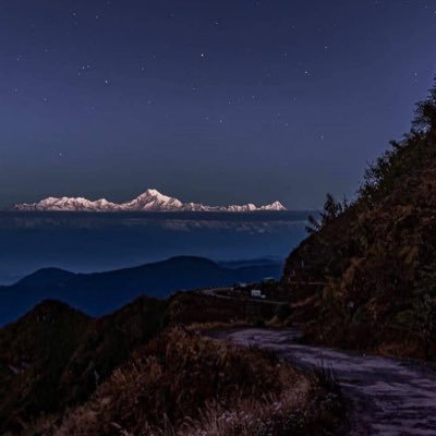 SreeTrader1's profile picture. 