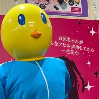 ひつじ (@hitsujikayagi) 's Twitter Profile