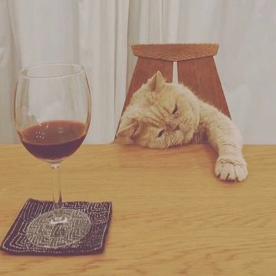 waai_gum's profile picture. すってんころり。