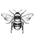 The Beekeeper's Dream (@Bee_sDream) Twitter profile photo