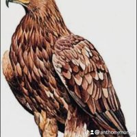 Gen. Anthony Mbuthia (@murimi7148) 's Twitter Profile