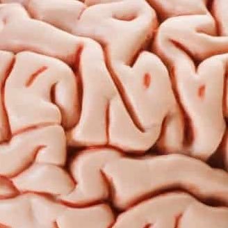 mantismortem's profile picture. 🪞🫀