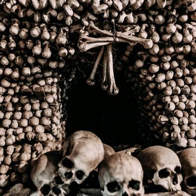 Emily6890615336's profile picture. #Horror #Scary #Creepy
 #Thriller #Fear #Chilling #Spooky
#Scream #Haunting #Nightmare
 #ExtremeHorror #Gore #ViolentScenes #DisturbingContent #Bloodbath #Graph