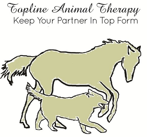 toplinetherapy's profile picture. Mobile rehab service for dogs & horses specializing in muscle and tendon injury prevention with natural healing options.