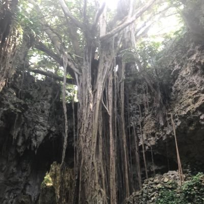pampush462's profile picture. 東京大学大学院工学系研究科