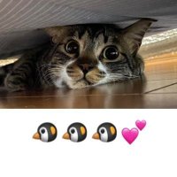 こうのB②🐧🐧🐧 (@kohnob_besty2) 's Twitter Profile Photo こうのB②🐧🐧🐧 (@kohnob_besty2) 's Twitter Profile Photo