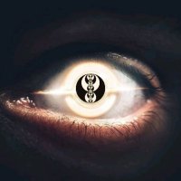15M (@15m_trader) 's Twitter Profile