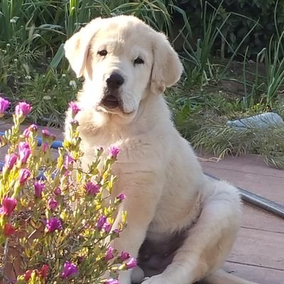 naturameteo's profile picture. http://t.co/9NiuZGxRHU