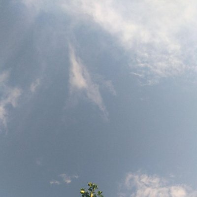 Galitzinluwang's profile picture. ocean blvd