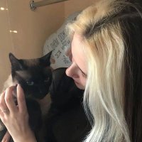 Sofie (@sofie413668) 's Twitter Profile