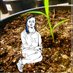 Germinating Monocot (Sam) π± (@plantrolemodels) Twitter profile photo Germinating Monocot (Sam) π± (@plantrolemodels) Twitter profile photo