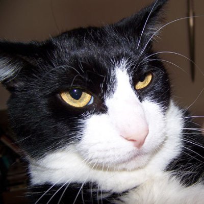 SeekingMorality's profile picture. In the end, we win.