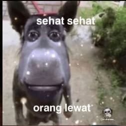 isinya apa aja