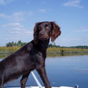 Cade Henderson - @CadeHenderson1 - Twitter