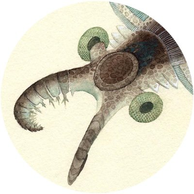 かわさきしゅんいちさんのプロフィール画像