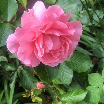 Amitpat42375370's profile picture. 