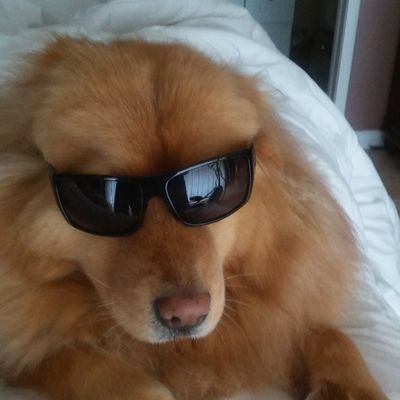 jcdzag's profile picture. 